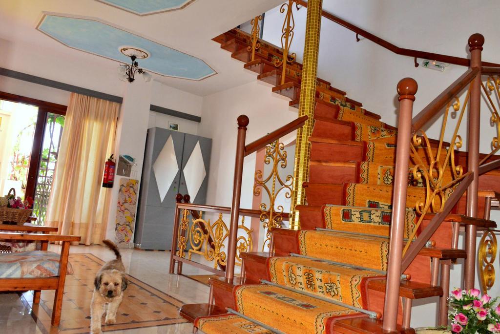 كاتو ذاراتسو Sun City المظهر الخارجي الصورة